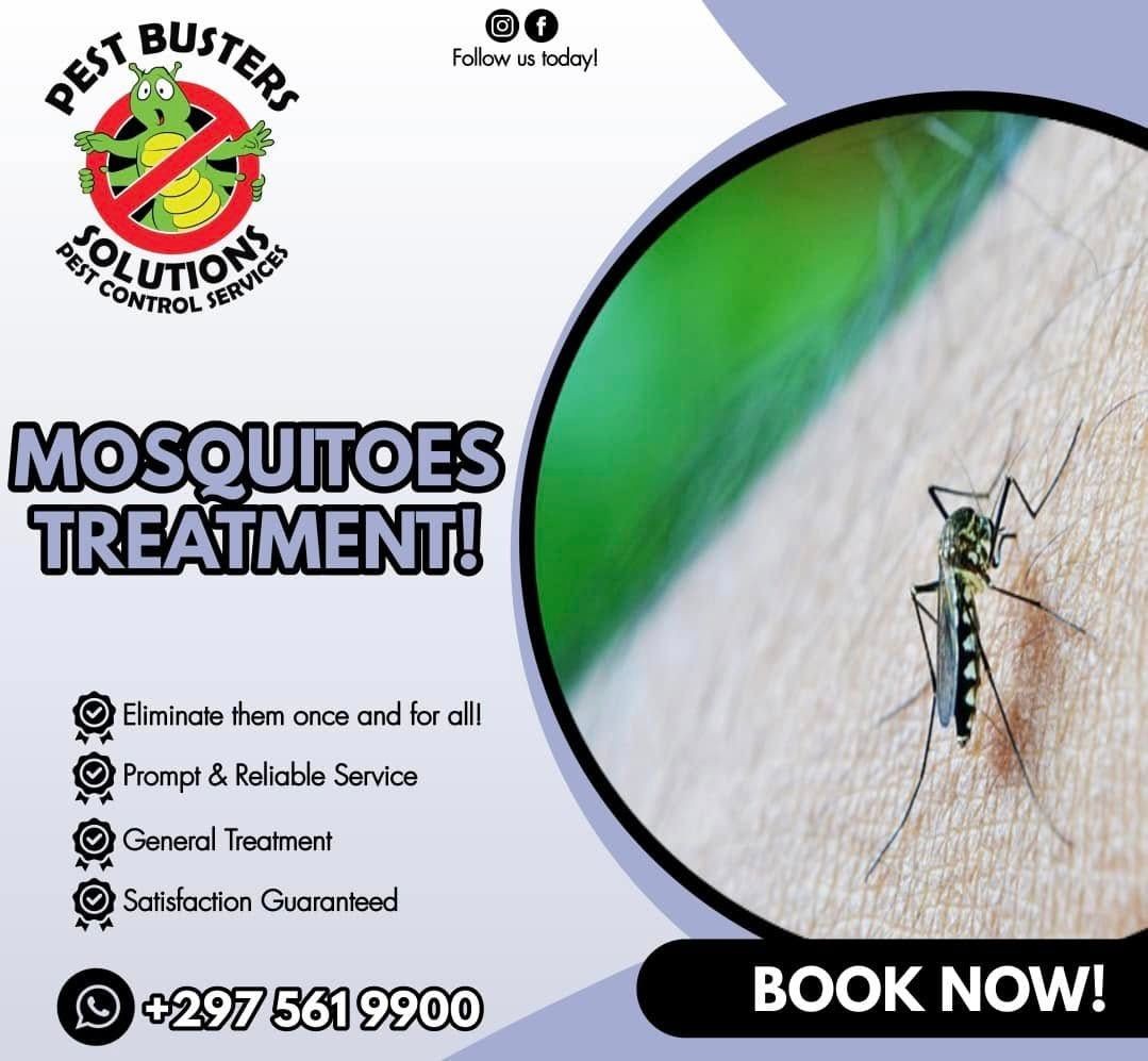 Eco friendly Mosquito Treatment